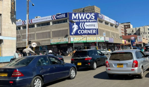 Betting Dominate Zimbabwe